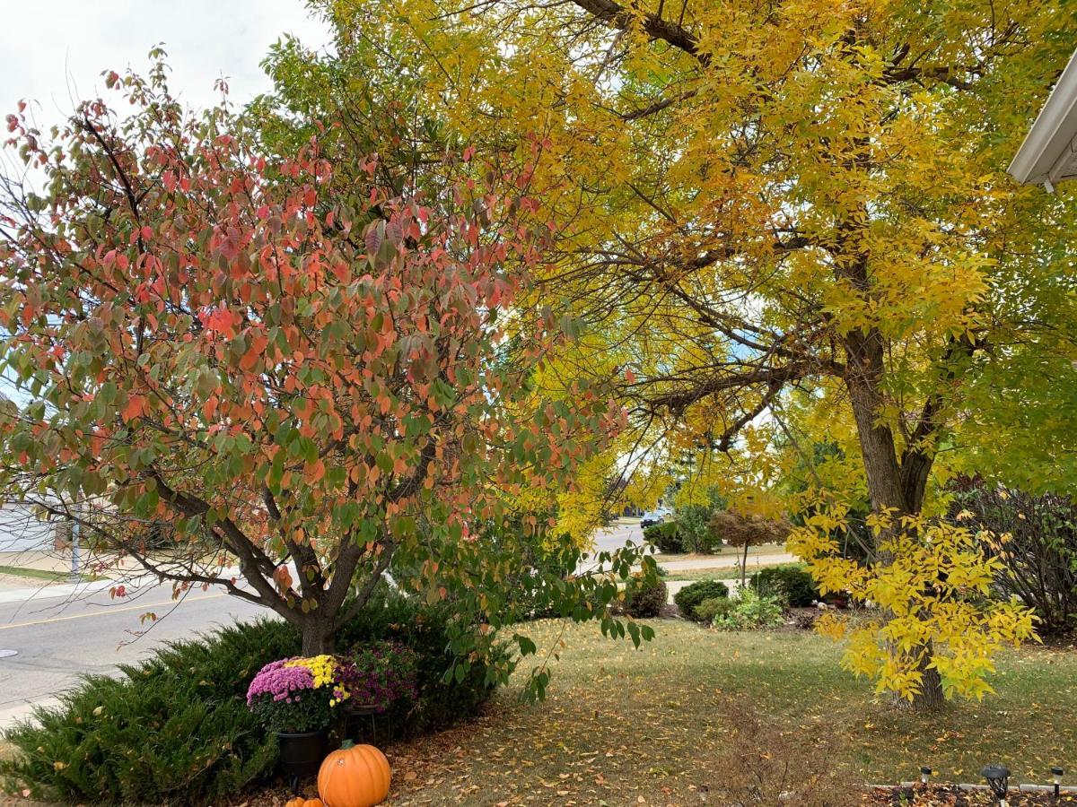 Brother Li Homestay Calgary Zewnętrze zdjęcie